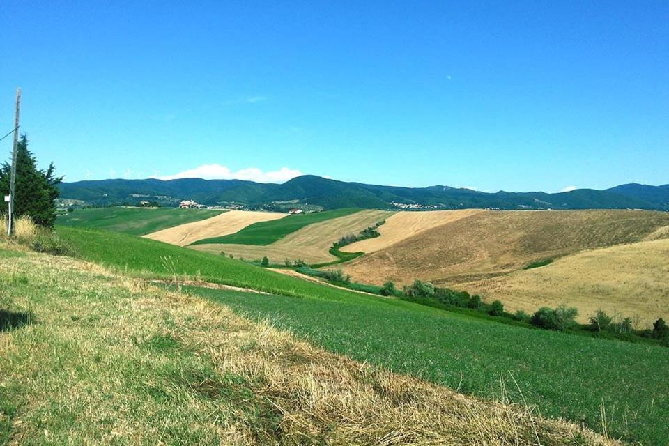 Villaggio Residence La Pieve Di Pomaia Ruang foto